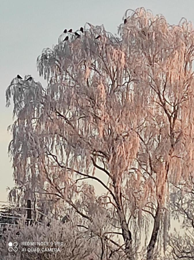 Zakatek Zurawi 2 Swinoujscie Exterior foto
