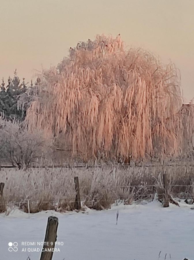 Zakatek Zurawi 2 Swinoujscie Exterior foto